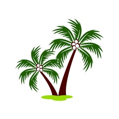 Tropical coconut palm tree, coco tree vector illustration
