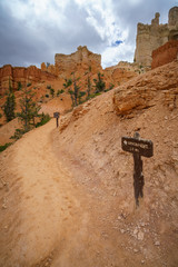 hiking the peek-a-boo loop in bryce canyon in utah in the usa