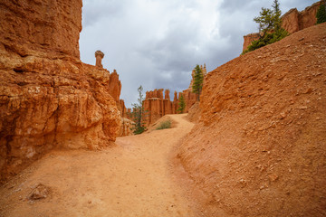 hiking the peek-a-boo loop in bryce canyon in utah in the usa