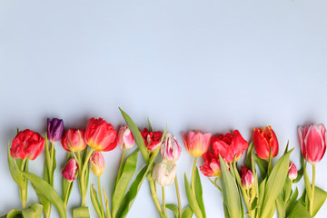 Spring vibes. Border made of tulips on blue background. Seasonal background, Women, Mother's day...