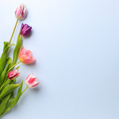 Spring, Women, Mother's day, DIY, holidays preparation and creativity layout. Festive decorations, tulips on blue, mockup greeting card, flat lay with empty space for text design