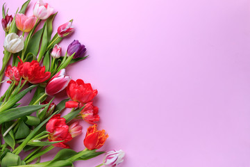 Spring season abstract background. Multicolored tulips frame on pink surface. Mother's day, Women day, seasonal concept. Copy space.