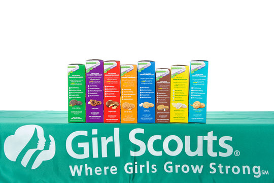 Alameda, CA - February 06, 2019: Traditional Girl Scout cookie booth table with Little Brownie Baker brand cookies isolated on white. Cookie sales raise funds for troop lead events and activities.