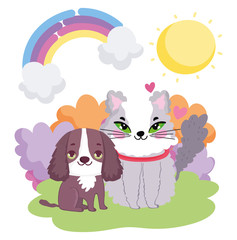 Obraz na płótnie Canvas little dog and cat sitting in the grass sun landscape pets