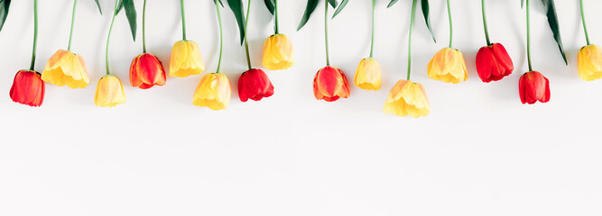 Beautiful composition of spring flowers. Yellow and red tulips flowers on white background. Valentine's Day, Easter, 8th march, Mother's Day. Flat lay, top view, copy space, banner - Powered by Adobe