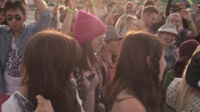 Crowd of young friends dancing and cheering at summer music festival