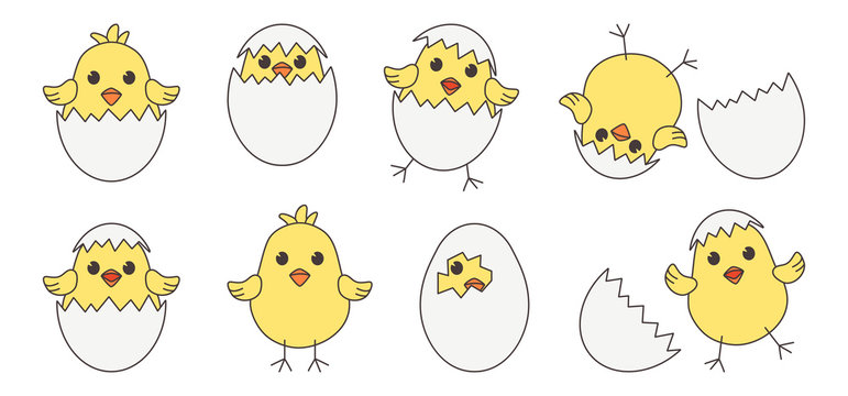 Easter baby chickens, cartoon eggs chick and shell isolated on white background. Vector illustration
