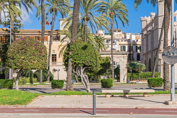 Avinguda de Gabriel Roca in Palma de Mallorca, Spain