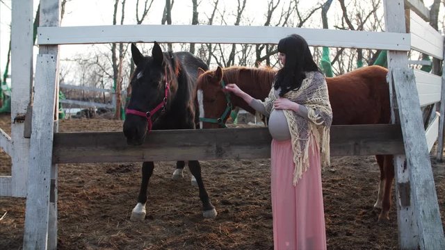 Pregnant Woman With Horse Images – Browse 2,562 Stock Photos, Vectors