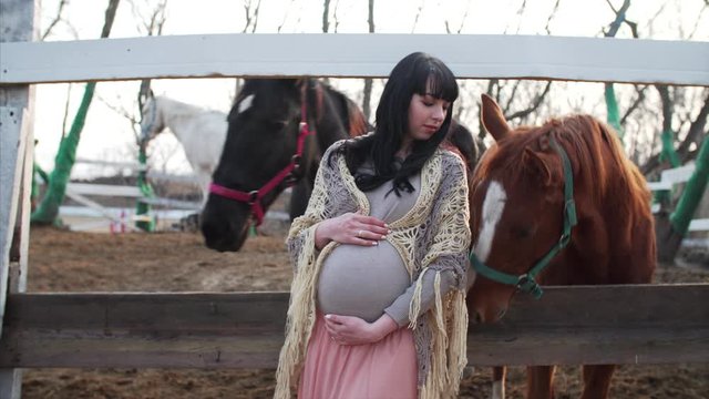 Young pregnant woman is posing near cute brown horse. The horse is sniffing her belly. Early spring