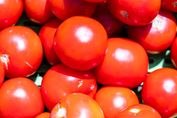 Group of fresh tomatoes; Tomato background
