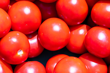 Group of fresh tomatoes; Tomato background