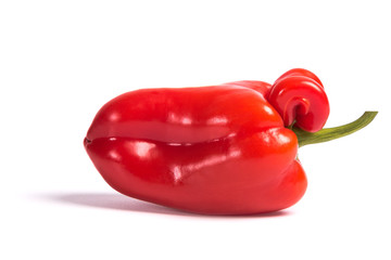 Ugly shaped organic vegetables. Deformed homegrown bell pepper isolated on white background