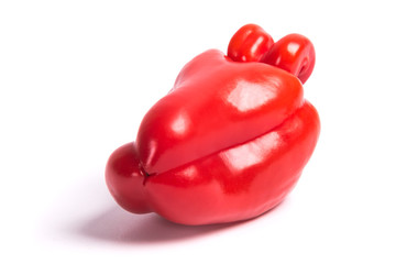 Ugly shaped organic vegetables. Deformed homegrown bell pepper isolated on white background
