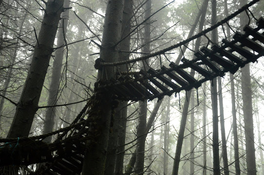 bridges for little people