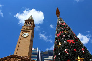 Christmas Tree in Brisbane