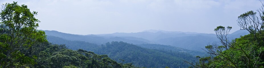 原生林が残る自然豊かなやんばるの森のパノラマ風景