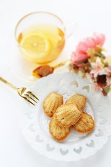 French confectionery, Madeleine cake on dish with copy space 