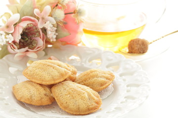French confectionery, Madeleine cake on dish with copy space 
