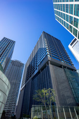 Fototapeta na wymiar 東京　汐留　高層ビル群の風景