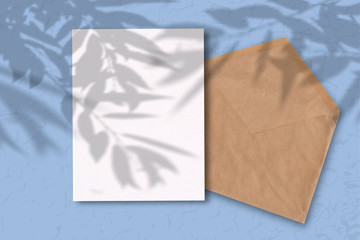 An envelope with a sheet of white paper on a blue background. Mockup with overlay of plant shadows . Natural light casts the shadow of field plants and flowers from above