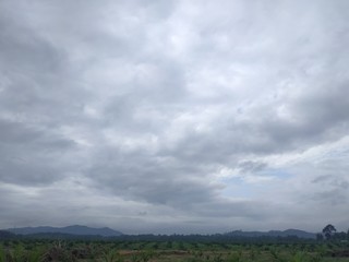 sky and clouds in palm oil plantation