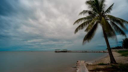Palm tree and  walkeway in front of Dilapidated old fishing dock collapsing into the sea in Pak Nam Pran Thailand