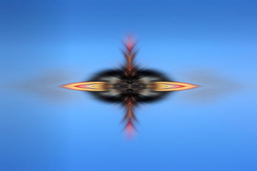 radial color pattern, closeup of photo