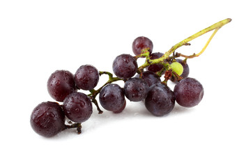 Black grape