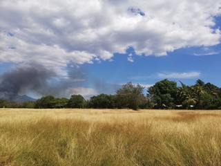 Fototapeta premium green field and blue sky