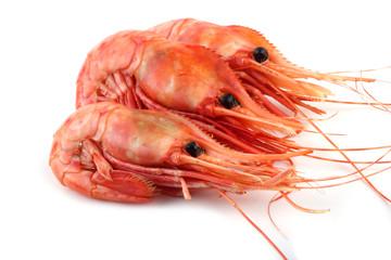 Shrimps isolated on white