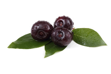 Wet dark red cherriies