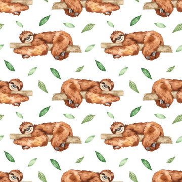 Watercolor seamless pattern with cute sleeping sloths on a tree and leaves on a white background