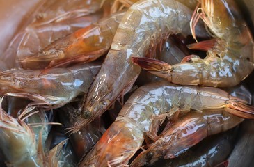 shrimp fresh seafood on ice