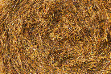 close-up of a twisted stack of straw. Texture for your projects