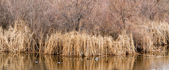 Hyatt Hidden Lakes Reserve - Boise