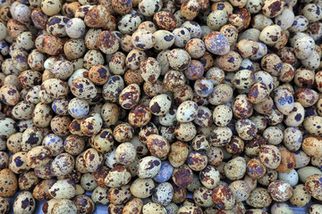 Piles of quail eggs