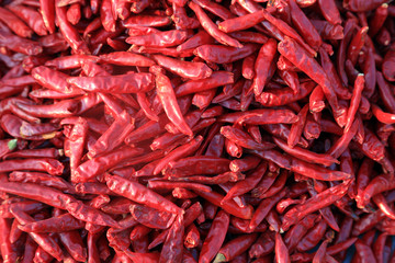 Dry chili peppers are on the market