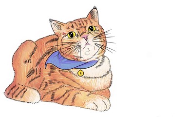 Drawing and painting of Orange cat on white background with yellow big eyes