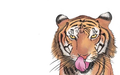 Drawing and painting of hungry tiger on white background with yellow big eyes