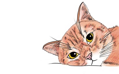 Drawing and painting of Orange cat on white background with yellow big eyes
