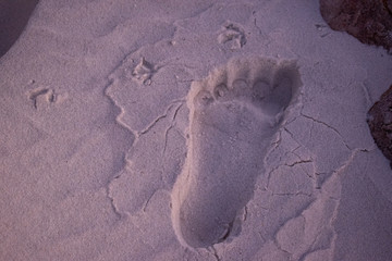 Foot prints in the beach sand