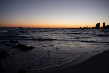 Beach sunset birds playing in the waves