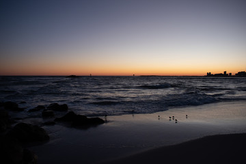 Beach sunset birds playing in the waves