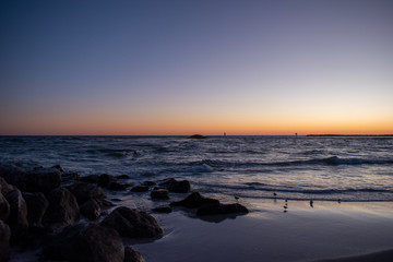 Fototapeta na wymiar Beach sunset birds playing in the waves