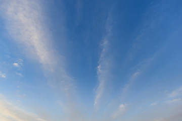 Fototapeta premium white cloud on blue sky