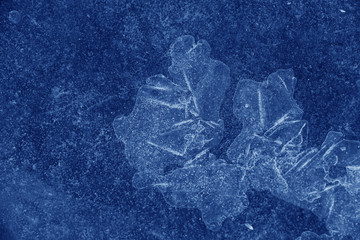 Bubbles on the ice in nature