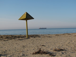 umbrella on the beach
