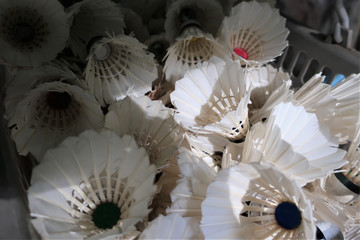 Obraz premium 셔틀콕