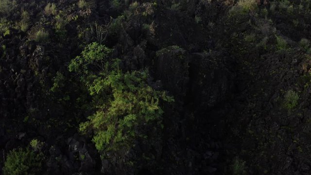 Aerial shot revealing church ruins, Paricutin